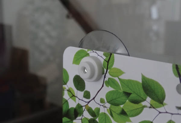 Ventouse puissante de Ø 40 mm avec vis blanche