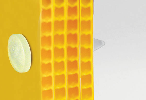 Rivet sapin clip de Ø 12 mm translucide avec serrage permanent de 7 mm