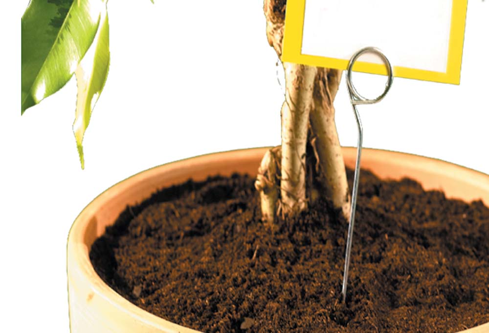 Pic en métal de Ø 2.3 mm avec pince spirale de Ø 26 mm - Hauteur 250 mm