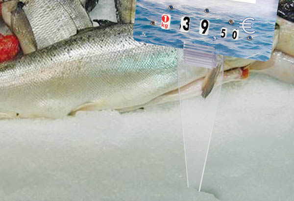 Pic avec pince fixe et grip en PET transparent de 25 mm - 40 x 150 mm