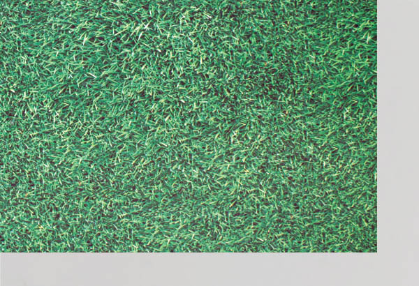 Rouleau moquette Carfloor® 400 N à thème de 150 cm x 10 m - Herbe