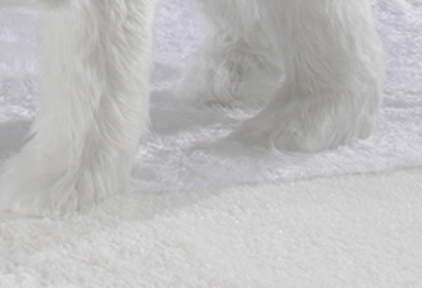Couverture neige fine blanche - Hauteur 100 cm - Longueur 500 cm