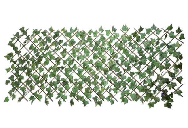 Clôture en feuilles de lierre - 200 x 120 cm
