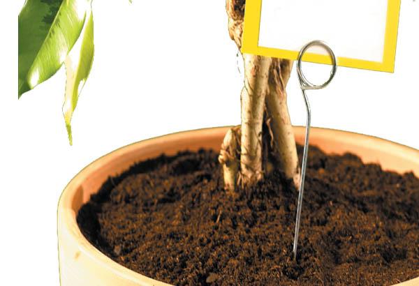 Pic en métal de Ø 2.3 mm avec pince spirale de Ø 26 mm - Hauteur 250 mm