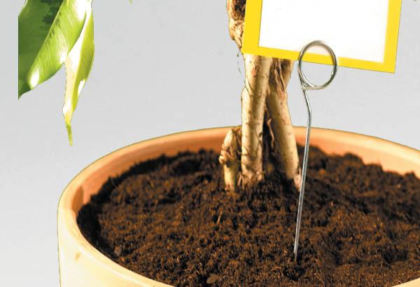 Pic en métal de Ø 2.3 mm avec pince spirale de Ø 26 mm - Hauteur 350 mm