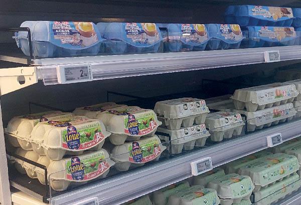 Séparateur filaire pour kit Easyroller gravité - 460 x 74 mm