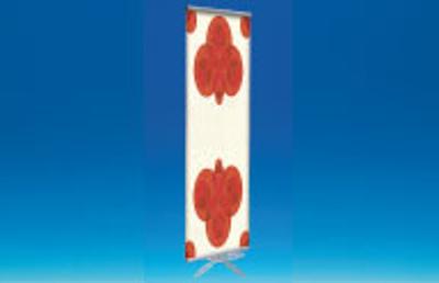 Porte affiche EKOJET® aluminium - 600 x 2000 mm