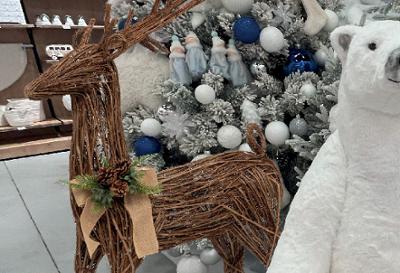 RENNE BRANCHE HTR125CM BOIS NATUREL