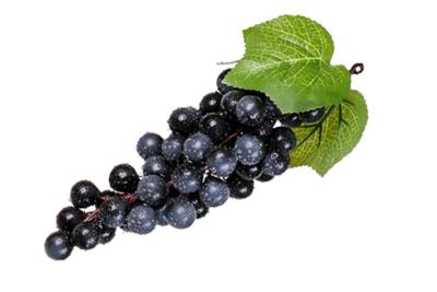 Grappe de raisins noir 22 cm