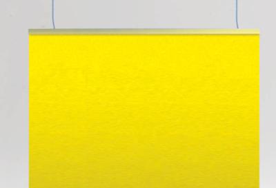 Profil U pinçant PVC transparent crochet - 650 mm