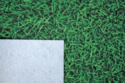 Moquette à thèmes 1.5 m x 10 m - Moquette Herbe Carfloor® Moquette à thèmes 1.5 m x 10 m - Moquette Herbe Carfloor®
